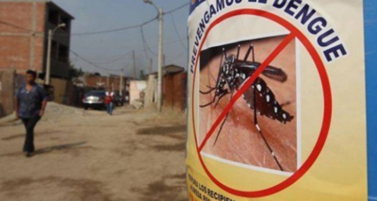 Alerta en Nicaragua por dengue y chikungunya 1 17 Breve 1